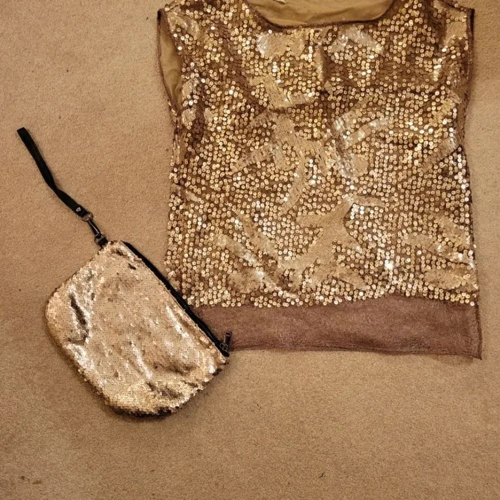 Sequin purse and Max Studio sequin top